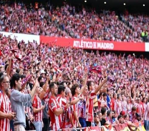 ����������ӵ��15.8������Ա��λ��ȫ����ֲ�������