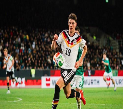 ����գ��������ǲ���˹�Ⱦ��ֲ�����¸�˹���г����׶�