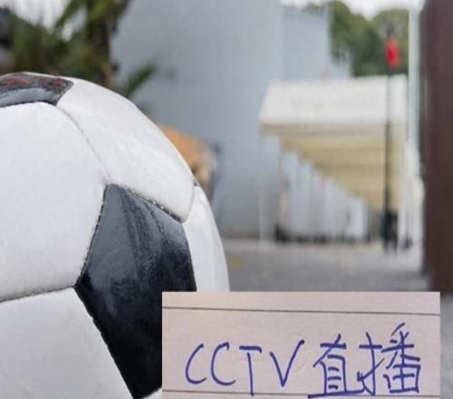 �����������г����̳�¯��֮ǰ����������CCTVֱ���¼�ֲ���