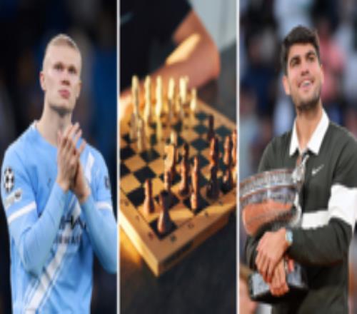 ��������Ǯ������Ӣ������Chess.com�˺ű��ǳ�