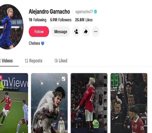 ����ζ������ɾ��TikTok�����ж�����������������ʱ����Ƶ