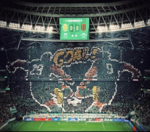 ������ɹ���Լ�Ϊԭ�͵Ĺ���TIFO�ղ���л���ж������̣�