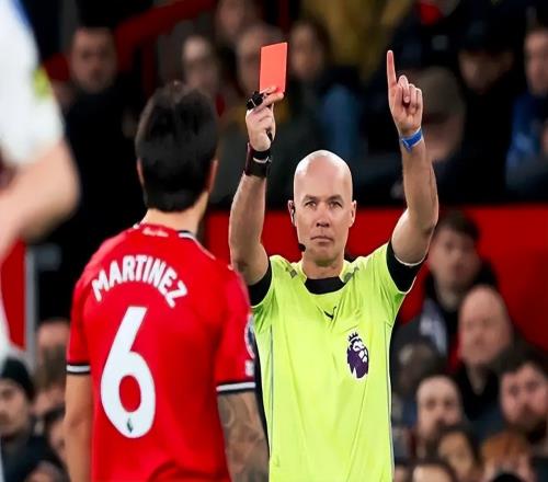 ����˫�꣡��÷�޳���û��������ͬ���ж�ֱ��������������Ӣ����