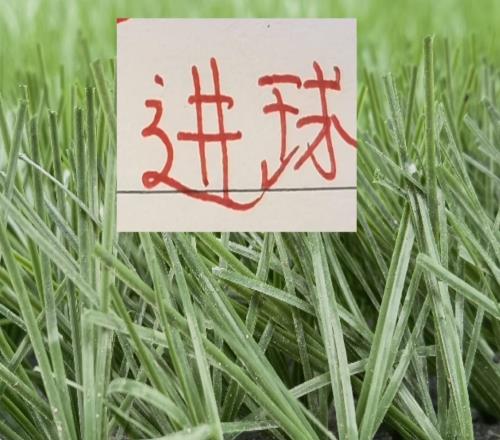 �ɶ����±����������ǹھ�����ʵ5���ܺ���16��ֻ������һ��