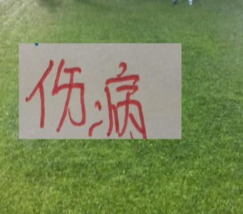 �Ϻ�˫��������ϧ��ȥ���껨�ͽ���̲����ͱ��������ֵ�������