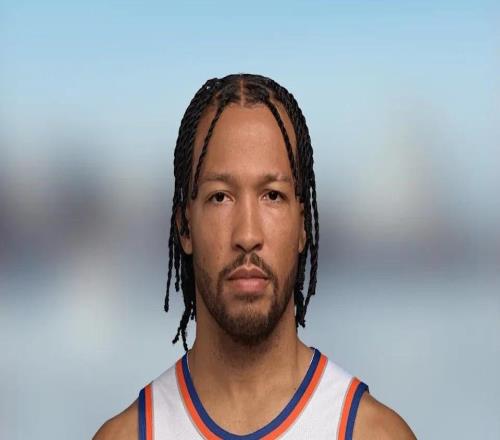 ���˹���������Ƕ���ŦԼ���������