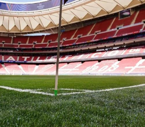 ��ǰ��������Ͷ����������ýɹ��Ƥ��Ƭ��ϲ������ݵص�ζ��