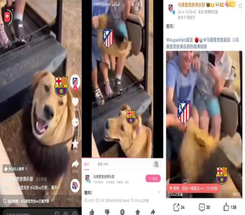 ��������Ϊ������Ǹ�����������ں�����������ٷ�����Ƶ��Ц����