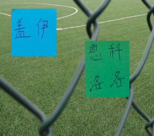 申花盖伊北京国安恩科洛洛海港加布里埃尔这些被撤销外援谁最可惜
