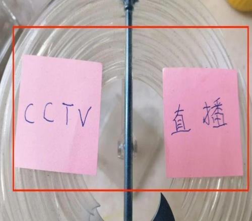 中超资讯：第22轮CCTV直播有3场申花前主帅不愿意为钱勉强继续