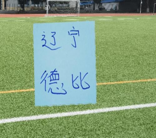辽宁德比！11号马莱莱踢满全场