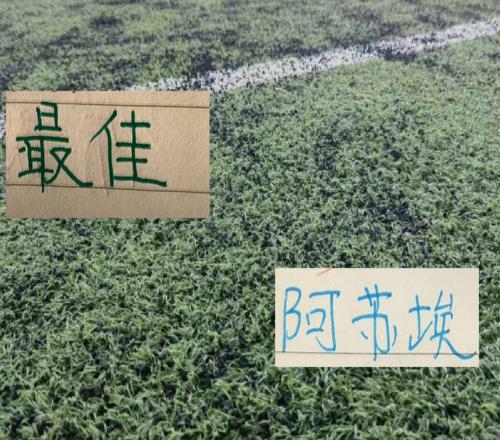 第24轮非官方评选申花阿苏埃拿下MVP布尼亚明破北京国安防线斩获最佳进球