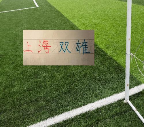 第24轮积分榜！上海双雄都进入前10名距离第2名海港差7分，申花差8分