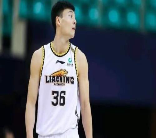 什么情况鄢手骐进入自由球员名单，辽篮放弃执行+1选项，会离队吗