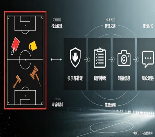 从大连英博与北京国安赛场风波看足球秩序的法律边界