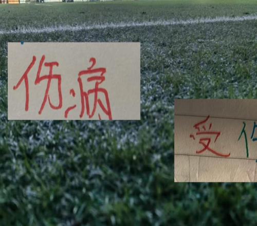 北京国安第25轮！斯帕吉奇孔特再次缺席大连英博马莱莱也没进大名单