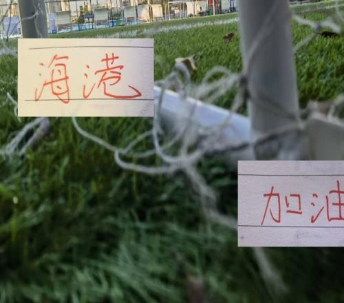 海港8月拿下13分！联赛还剩5轮，还有冲刺第二的可能性