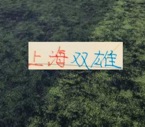 中超第26轮！申花虽然赢了，但他们还是落后海港1个名次今年能反超海港吗