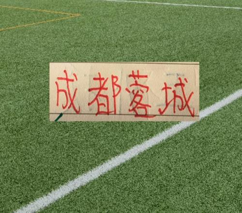 今年成都蓉城是真的强！韦世豪穿上国足10号+队长袖标，王子铭是9号