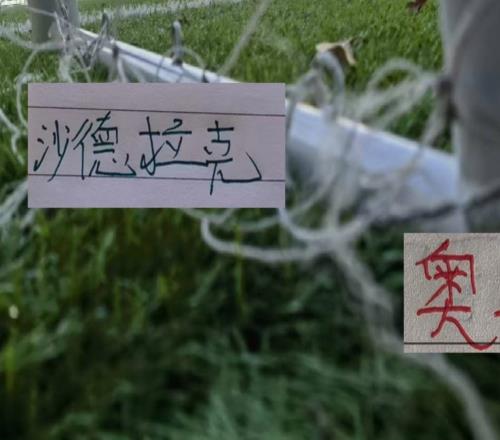 都有刚果外援前锋！云南奥斯卡跟金靴越来越近北京国安沙德拉克首战3分钟进球