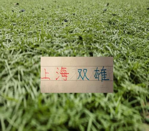 中超官榜！67月最佳球员候选领头羊成都蓉城上海双雄海港+申花一个都没入选