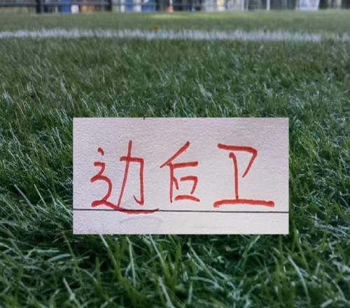 中超表现好本土边后卫！都打FIFA赛事海港有杨希成都是胡荷韬大连英博是毛伟杰